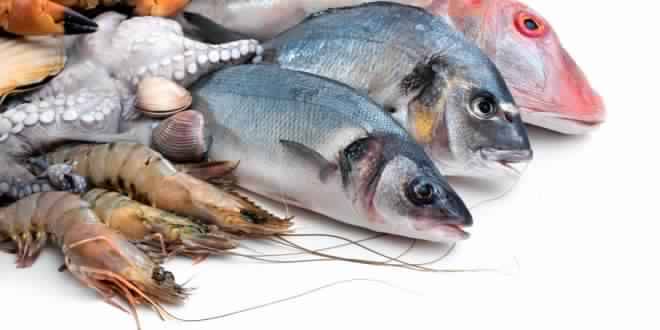 تعرف على فوائد السمك - يعنى 