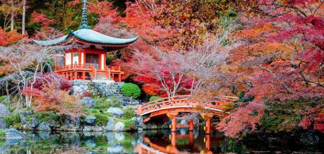 دولة اليابان - يعنى 