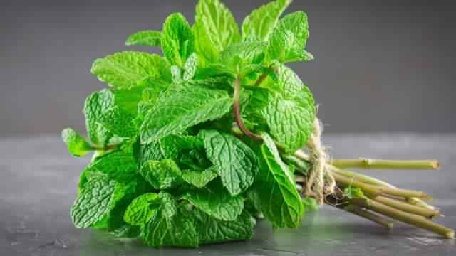 تعرف على فوائد النعناع - يعنى 