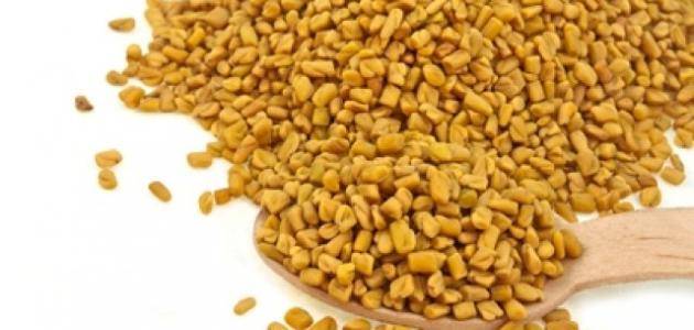 فوائد الحلبة - يعنى 